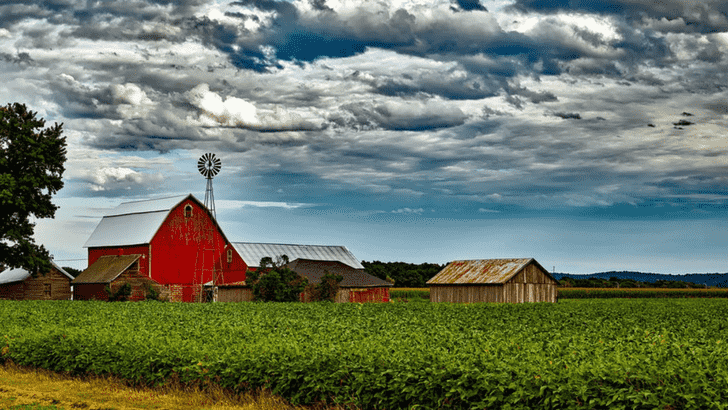 Get Inspired by the Farmhouse Decor Blogs | Satellite for Internet